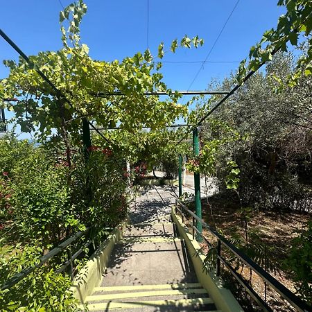 Xristina Appartment Plaka Litochoro Dış mekan fotoğraf